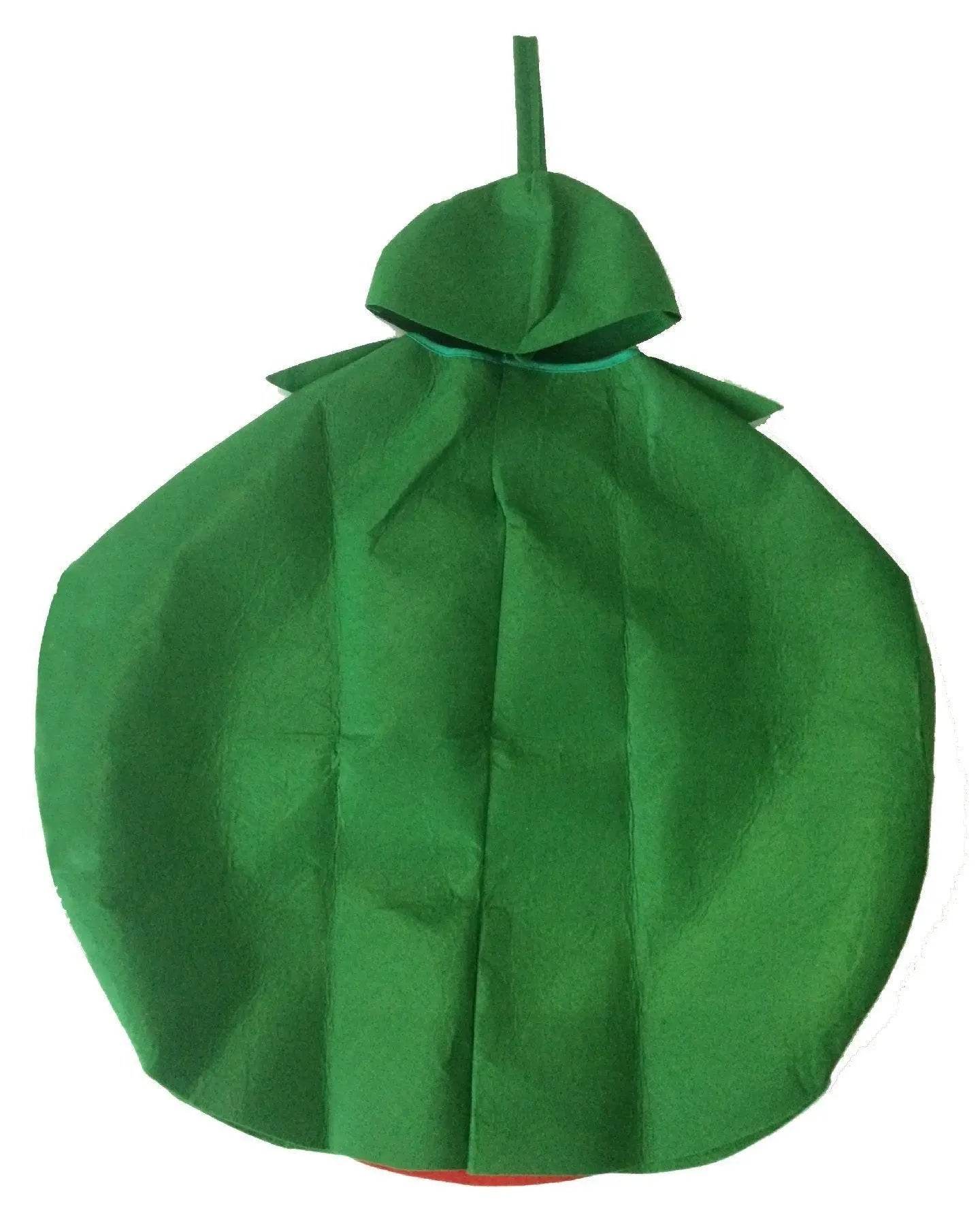 Matching Family Costumes Watermelon Fruit Costumes - Ecosfun